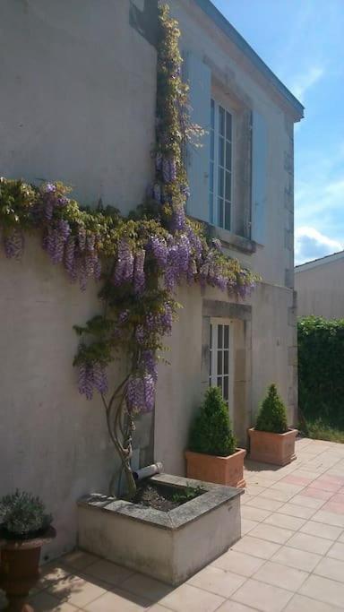 Vaste Maison 23/29 Pers. Piscine Proche Des Plages Villa Longeville-sur-Mer Buitenkant foto